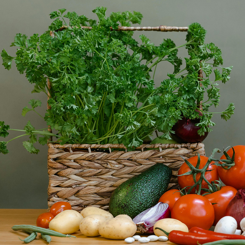 Photo of beautifully
            arranged food